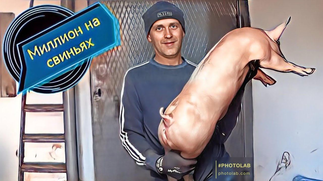 Поросята генетики класса элит разъежаются по всей России.!Дезинфицирую и мою клетку для поросят! смотреть онлайн