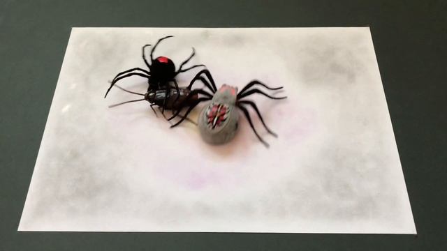 Zuru Robo Alive.Robotic Crawling Spider And Cockroach.Look at these Insect and Bug Toys смотреть онлайн