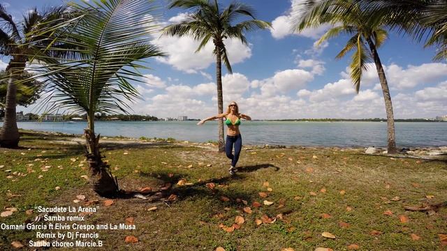 SACUDETE LA ARENA REMIX SAMBA BY DJ FRANCIS (CHOREO) MARCIE B смотреть онлайн