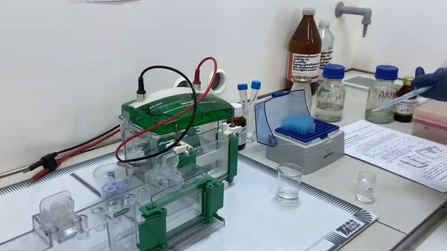 Электрофорез белка. Часть 1. Приготовление геля смотреть онлайн