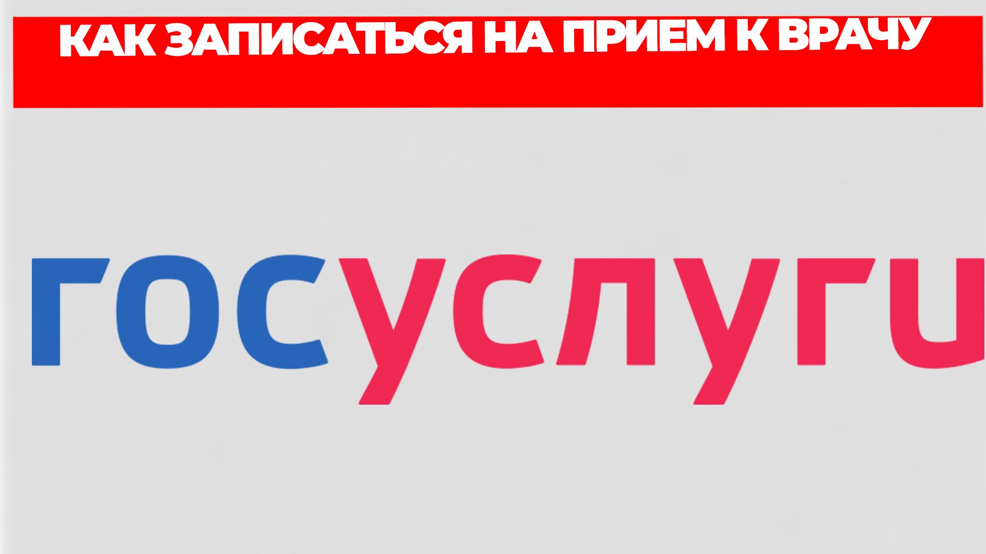 Всезнающий Енот