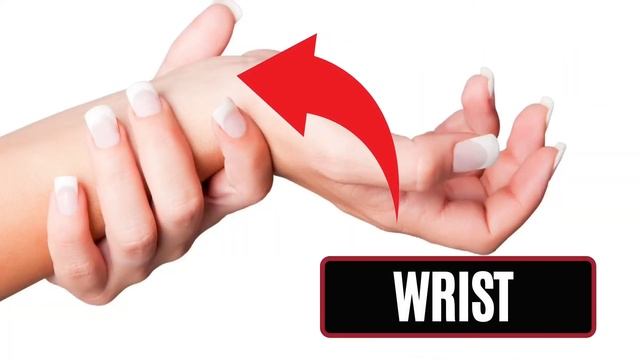 GUESS THE BODY PARTS | GUESSING GAME | ENGLISH GAME