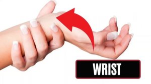 GUESS THE BODY PARTS | GUESSING GAME | ENGLISH GAME