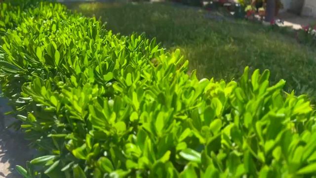 What to do in IBIZA (in one day!) | Ibiza Spain Travel Vlog 2023 смотреть онлайн