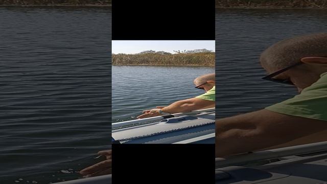 поймал отпусти