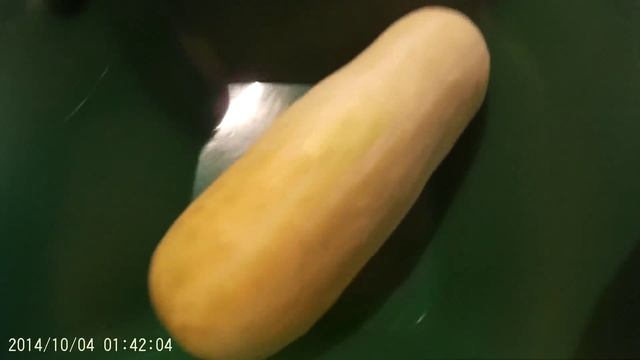 Как зреет семенной огурец корнишон смотреть онлайн