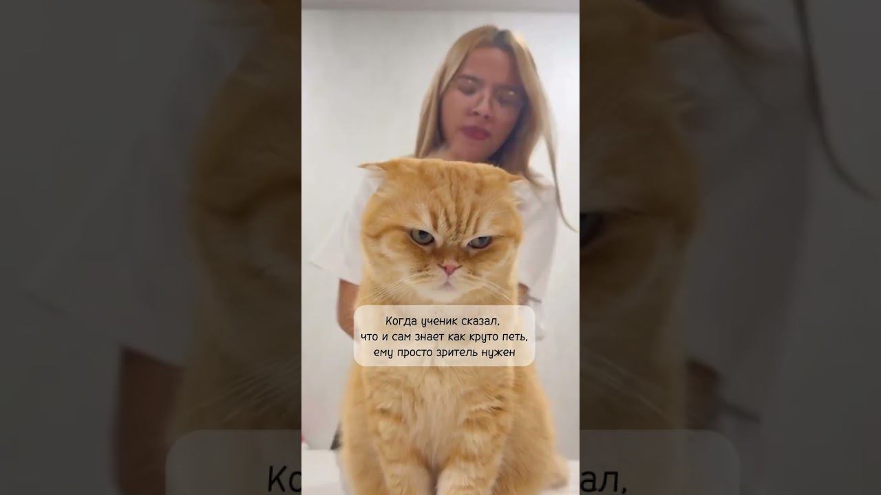 Когда ученик сказал, что сам знает как ему петь! #студиявокаласпб #вокал #музыка #урокивокала смотреть онлайн