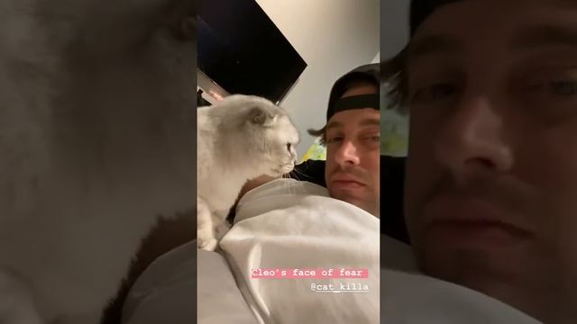My cat loves licking me, but can’t stand when I do it back смотреть онлайн