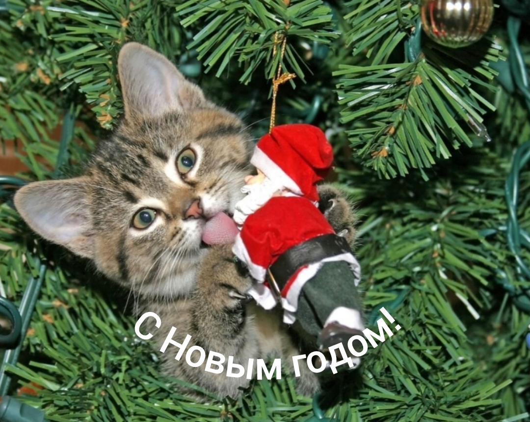 С Новым годом! смотреть онлайн