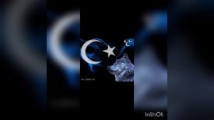 Уйгурские  песни