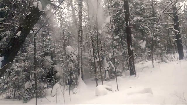 Валка деревьев клиньями! смотреть онлайн