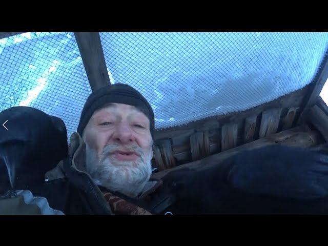 Сочельник, вОроны и думы. смотреть онлайн