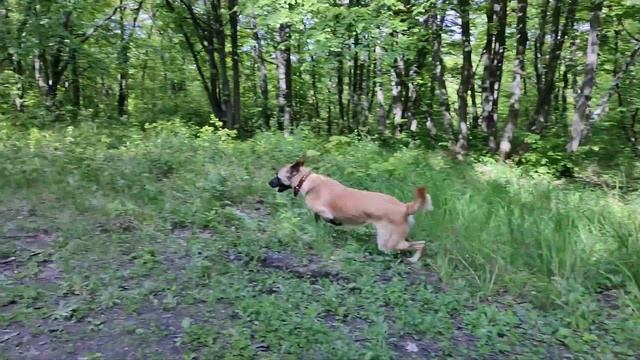 Прекрасный, яркий весенний день! смотреть онлайн