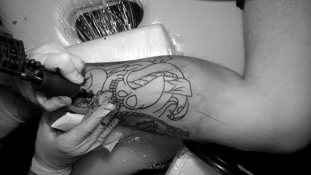 snake tattoo, змея с черепом смотреть онлайн