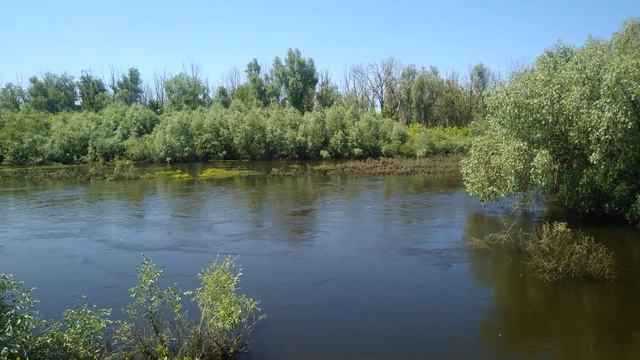 разлив реки Любеч смотреть онлайн
