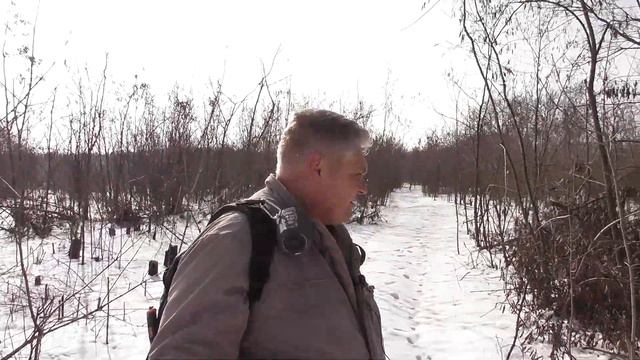 Весна входит в свои права смотреть онлайн