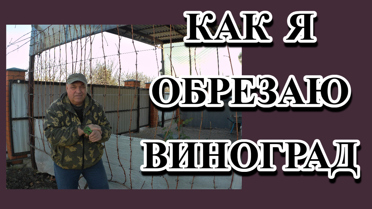 205. Жизнь на юге в декабре/Садово-огородные дела смотреть онлайн