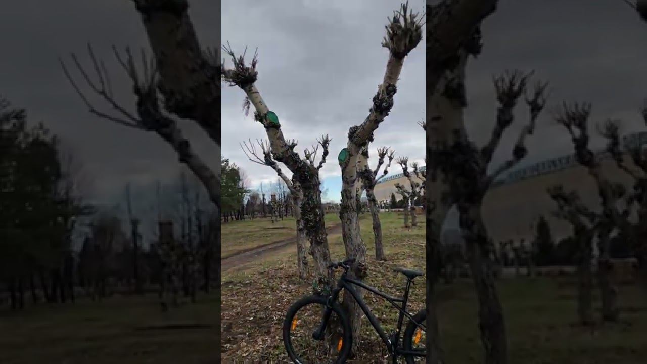 Открытие велосезона 2022 смотреть онлайн