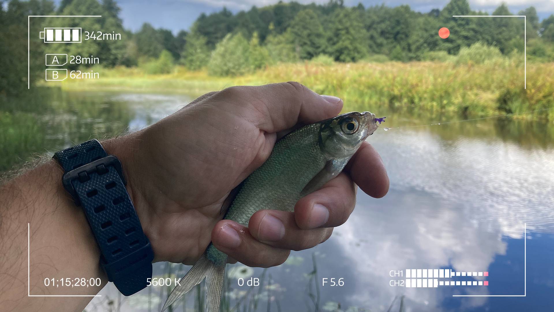 It's Mormo time! Деревенский мормышинг смотреть онлайн