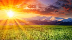 Ярко солнце светит— Иван Суриков  —читает Павел Беседин