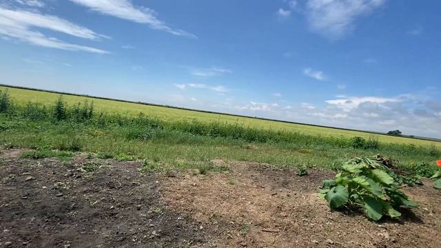 Обзор на P90 на орбизах!