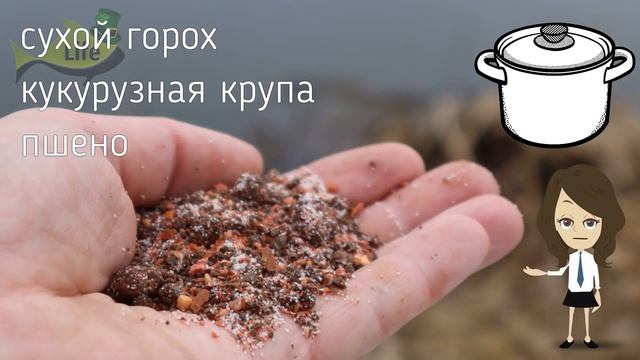 Лучшая в мире прикормка по холодной воде на карася карпа леща и для фидера! смотреть онлайн