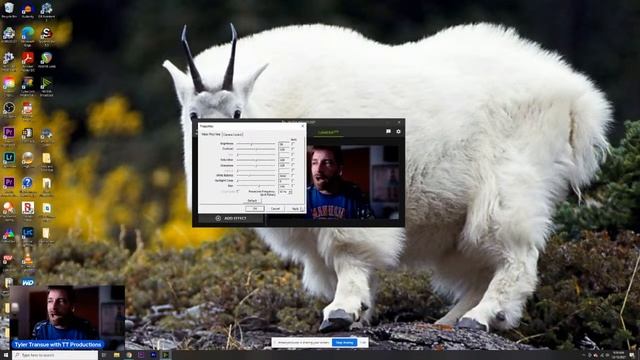 QUICK TUTORIAL: Make Your Live Stream Camera Look Amazing With NVIDIA Broadcast смотреть онлайн