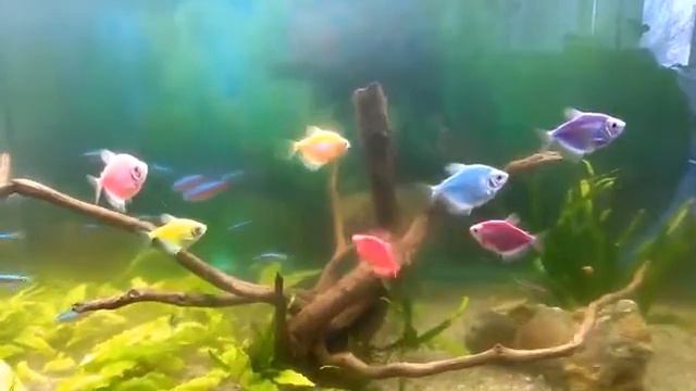 Video_20190319_205812.mp4 смотреть онлайн