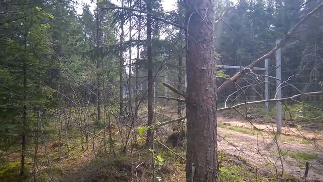 Фотоохота смотреть онлайн