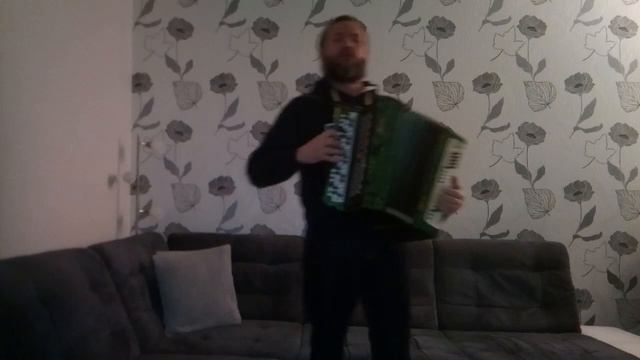 игра на баяне. "Мы армия народа." "We are the army of the people." смотреть онлайн