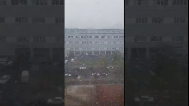 #Природные аномалии - Майский Снег в городе на Неве! Санкт-Петербург 7 мая 2024 года Природа весной смотреть онлайн