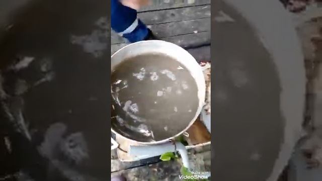 Как быстро ощипать птицу смотреть онлайн