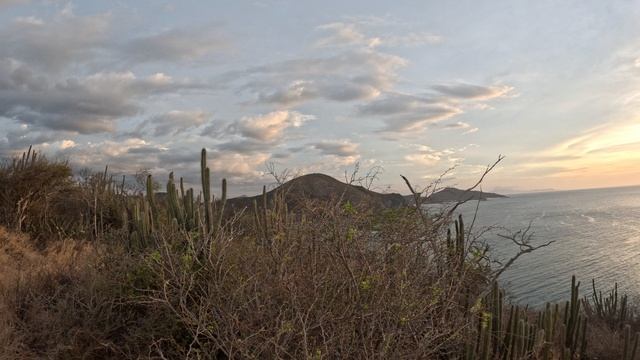 Венесуэла. Остров Маргарита. Окрестности отеля SunSol Ecoland Hotel & Resort 4*.