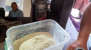 Технопланктон своими руками три рецепта