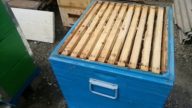 Когда и как откачиваю рапсовый мёд смотреть онлайн