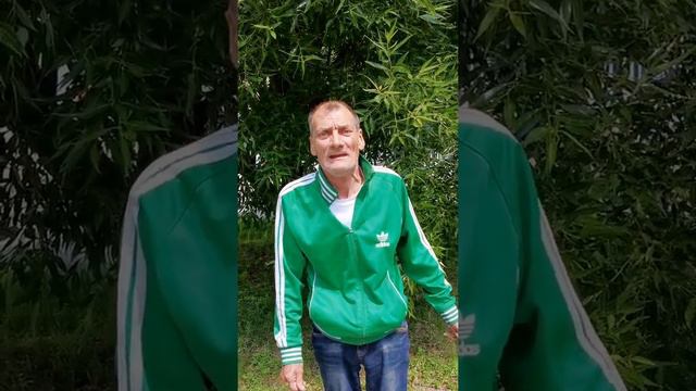 Озеро надежды смотреть онлайн