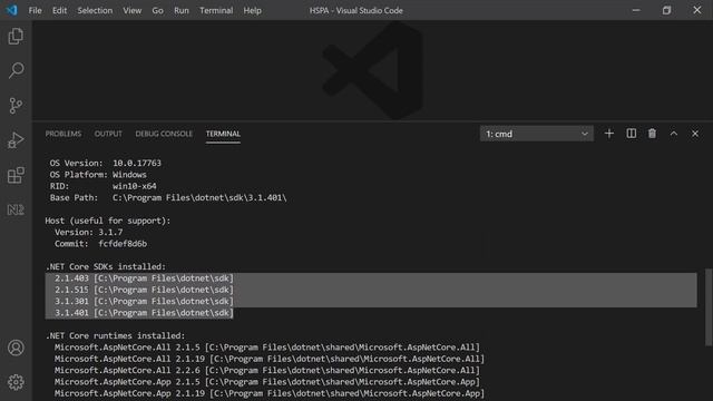 Build a Web API using ASP.Net Core смотреть онлайн