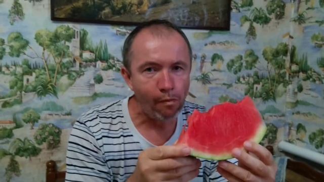 Арбуз Эпика F1 в Черниговской области. смотреть онлайн