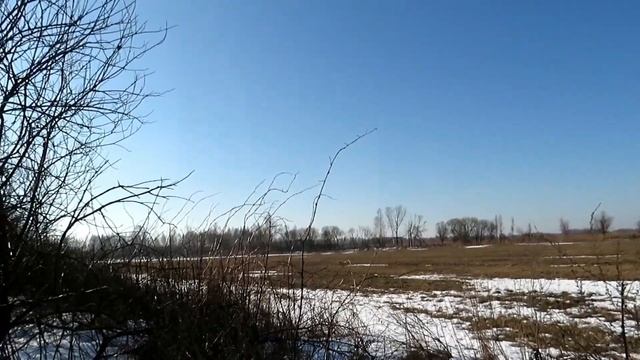 Охота на лис.ПОЛЁТ ПУЛИ В КАДРЕ! ЛОСЬ 145. смотреть онлайн