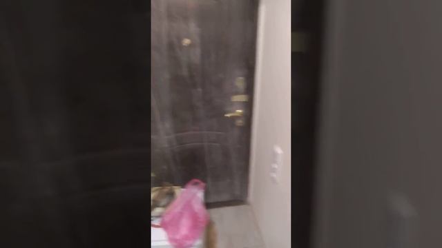 Качественный ремонт квартиры в городе Симферополь - новостройка. смотреть онлайн