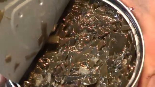 Профессор Еделев Д.А. Морская капуста. ТВЦ.