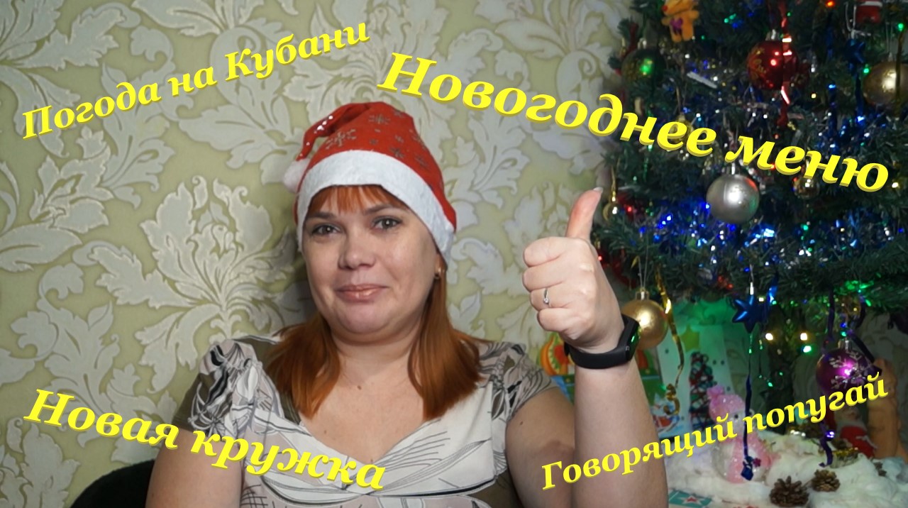 Новая кружка☕ / Погода на Кубани? / Говорящий попугай? / Новогоднее меню? смотреть онлайн
