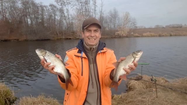 Личное мнение о покупках рыболовных товаров на джумм, алиэкспрессе и других подобных конторах. смотреть онлайн