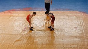 Вольная борьба дети 9лет