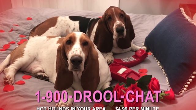 for a good time call... drool chat! смотреть онлайн