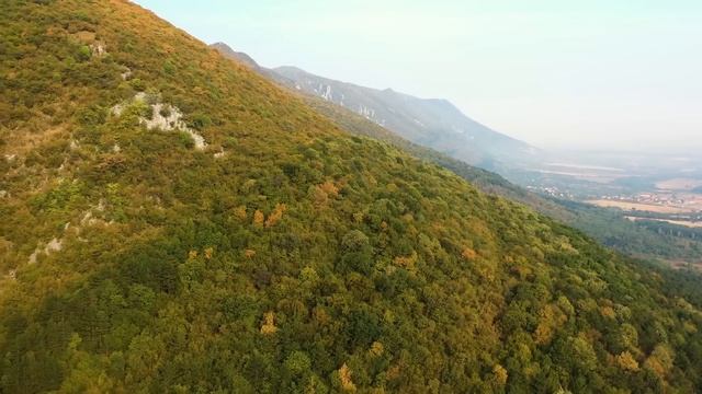 Во время родов тройни, девушку направили на кесарево. Потеряв сознание она очнулась в гробу. Надежд смотреть онлайн