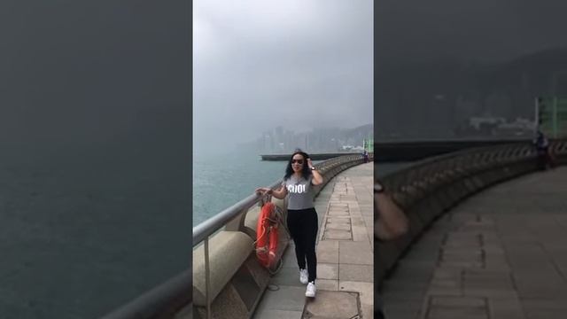 hourbour view wanchai hk смотреть онлайн