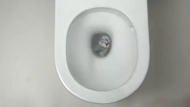 Унитаз подвесной OWL 1975 Vind Cirkel H безободковый смыв Торнадо TOWLT190302 смотреть онлайн