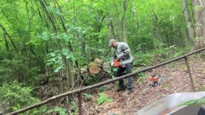 Заготовка берёзовых дров?для печи из сухостоя и валежника в лесу.
