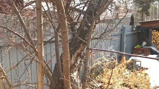 Дача на 28 км. Байкальского тракта СНТ Городской смотреть онлайн